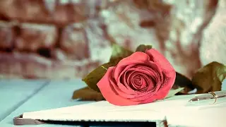 Leo Valentines Day Romance 2017