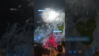 #magickingdom #fireworks #magic #kingdom #fire #fun #night #explosion #wow #amazing #disney #shorts