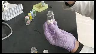 Halophilic Archaea - Session II