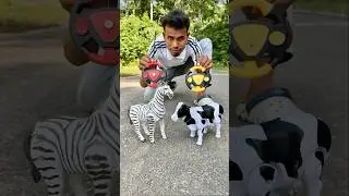 2 Ta RC Zebra and Remote wala Cow Unboxing 😊