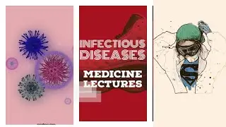 INFECTIOUS DISEASES lecture 7 DENGUE FEVER in simplest way