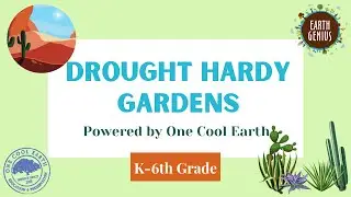 Drought Hardy Garden with Evie