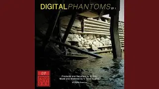 Digital Phantoms