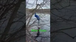 State Park long island NY