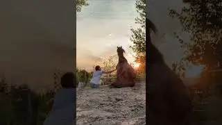 Habt ihr ein eigenes Pferd? #fy #fyp #fypシ #viral #viralvideo