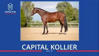 Lot 25 Capital Kollier