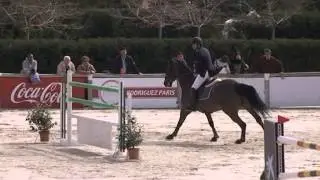 WOLLYWELL 145GP TOLEDO SEGUNDO CONCURSO