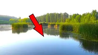 Смотри КТО живёт на дне лесного озера. Опустил камеру под воду.