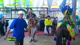 SINAR REMAJA KUDA TUNGGAL LIVE CONDONG BPK. CAREK SOLIHIN @rendyshoting