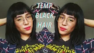 TEMPORARY BLACK HAIR | Arctic Fox TRANSYLVANIA | Jessica Godinez