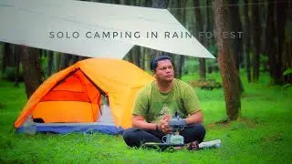 Solo Camping in the rain forest - relax in the tent - Camping Love ASMR