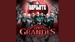 El Zopilote
