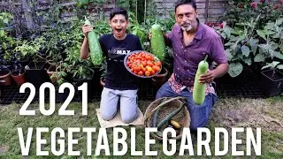 JULY VEGETABLE GARDEN TOUR - What Crops Are Ready For Harvest