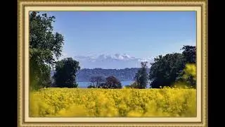 4k Art Screen TV frame Mountain Trees Flowers
