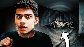 FREAKING SPIDER 🕷 | HUNTSMAN HORROR GAME