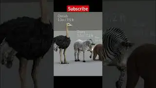 Animal Size comparison 3d Animation #shorts #viral #animation #sizecomparison #comparison
