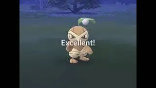 Nuzleaf caught in the wild || Pok&eacute;mon go