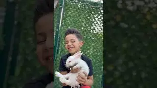 Bad teacher kicks rabbit out of class 😱👻&hearts;️ #shorst