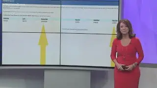 2 Wants To Know how to check if your vote was counted
