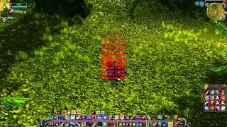 World of WTFcraft?!?