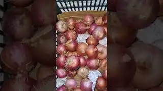 Cleaning tip's # useful home tip's #food # kitchen tip's # ytshorts
