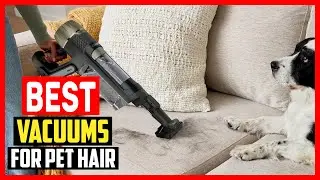 ✅ Top 5 Best Vacuums For Pet Hair 2026