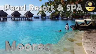 Moorea, Pearl Resort, French Polynesia, Franz&ouml;sisch Polynesien, Polyn&eacute;sie fran&ccedil;aise, 4k, #moorea