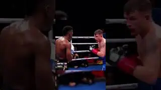 Dalton Smith vs Subriel Matias highlights #boxing #boxeo #knockout