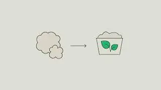 Wype - How did we become carbon-neutral? Toilet paper made, without trees, without harmful toxins.