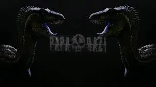 SKIMM _-_ Raptors ( PapaRazi Flip )