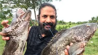 ORU ADIPOLI HAMOUR FISH CURRY | Travel2ArtandFood