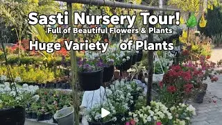 Sasti Nursery Tour | Ultimate Nursery Tour 2026 | Huge Variety Of Indoor & Outdoor Plants