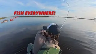 Kayak Fishing Jacksonville Mill Cove Round 2! So Many Fish Caught!