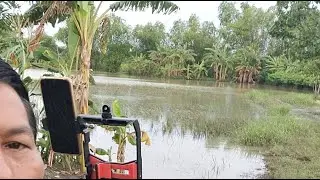 🔴LIVE SUASANA PERSAWAHAN INTERAKSI KOLABORASI