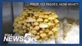 Prop. 122 passes, now what?