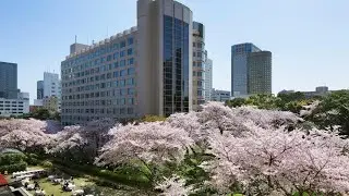 The Prince Sakura Tower Tokyo, Autograph Collection, Tokyo, Japan
