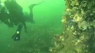 Dreischor Reefballs steenbolk Waterman Dive Team Center duiken