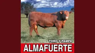 Pensando en Llegar