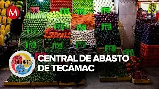 Central de Abasto de Tec&aacute;mac; la admiraci&oacute;n de miles de clientes | Los Colores del Sabor