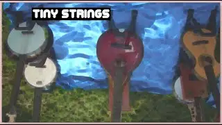 'TINY STRINGS'- original instrumental