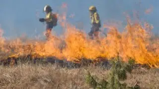 Emergency Bushfire Appeal - resourcing chaplains to bring comfort to the hurting