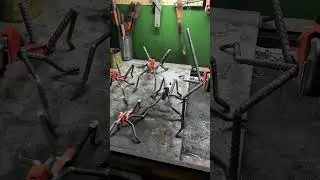 Meet The Grasshoppers
