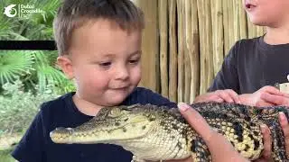 Dubai Crocodile Park