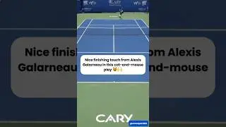 Nice finishing touch from Alexis Galarneau in this cat&mouse play 😻 #shorts #tennis #atpchallenger