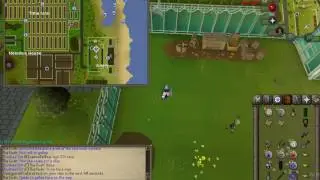 OSRS NEW MEDIUM CLUE !! 