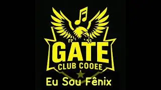 Eu sou F&ecirc;nix - GATE CLUB COOEE 