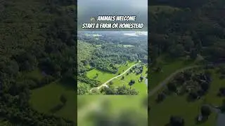 27 Acres of Freedom in Pearl River County, MS! #vacantland #landforsale #sellingland