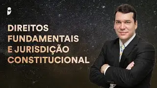 Direitos Fundamentais e Jurisdi&ccedil;&atilde;o Constitucional