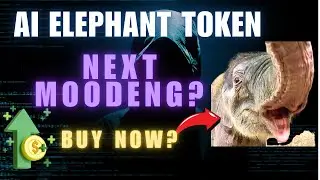 Baby Elephant JET Token Analysis | Next Moodeng? | Early Entry For 100x Meme