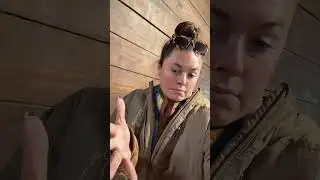 Все еще жду жеребенка от Рейвен.